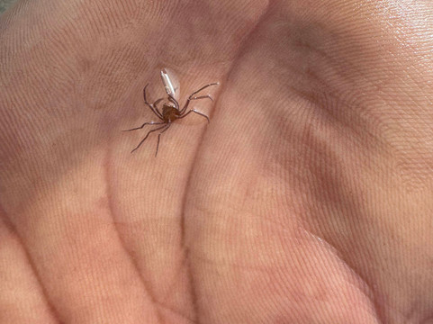 Narara Marine National Park-Devbhumi Dwarka District必去景点