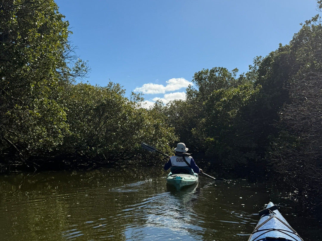 Adelaide Dolphin Sanctuary-Port Adelaide必去景点