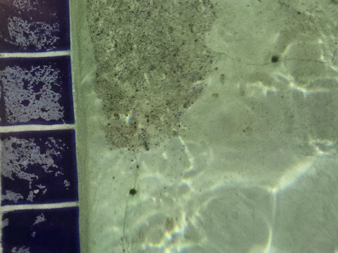 赫斯顿罗德威酒店主图