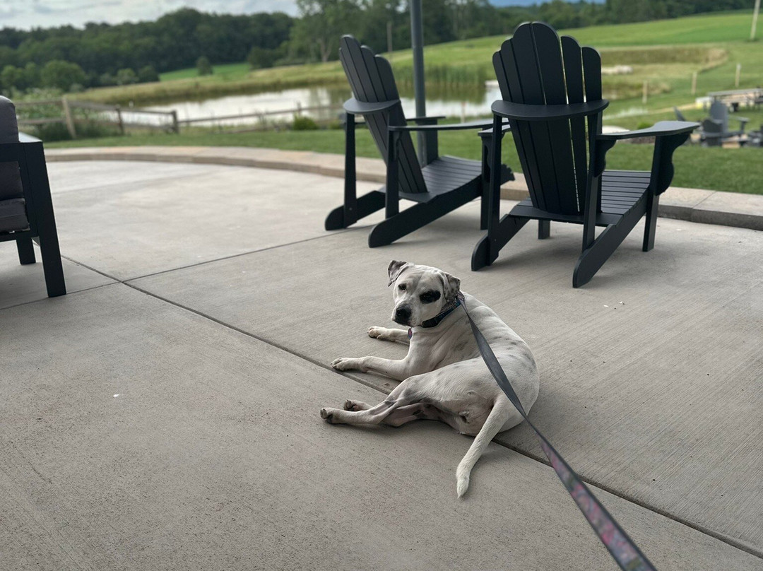 The Alpine Goat Brewery-Weyers Cave必去景点