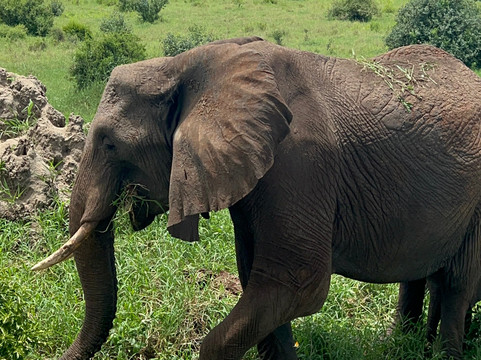 Altezza Travel-莫西必去景点