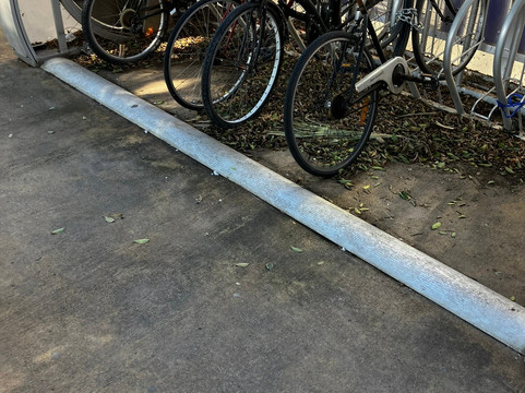 Parc d'Elx-贝尼多姆必去景点