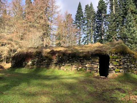 Allean Forest-皮特洛赫里必去景点