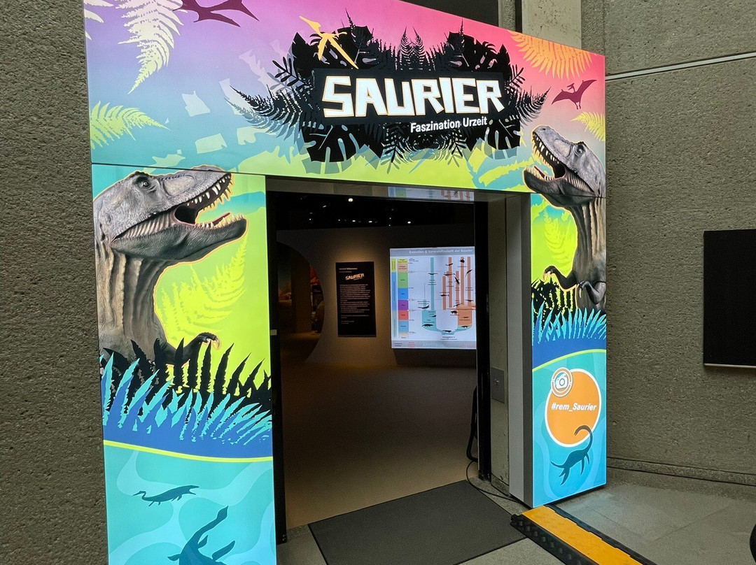 Reiss Engelhorn Museen Mannheim-曼海姆必去景点