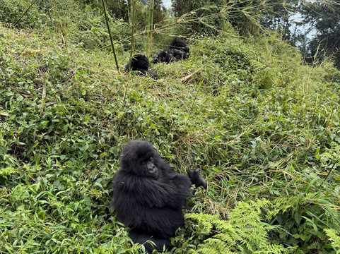 Albertine Tours-吉佳利必去景点