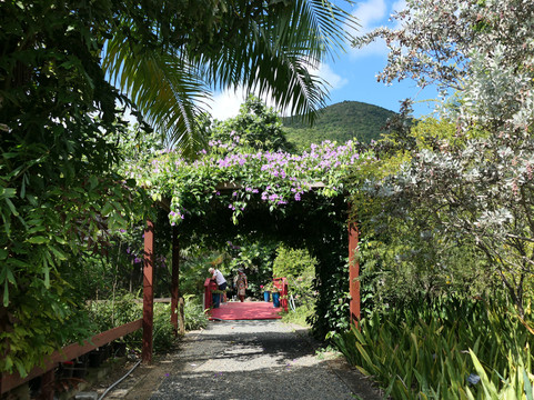 J.R. O'Neal Botanical Gardens-Road Town必去景点