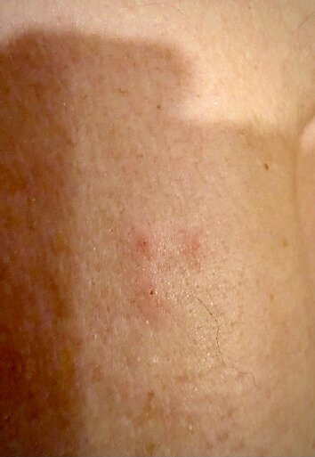 智选假日酒店-沃希斯-劳雷尔山-洲际酒店集团旗下主图