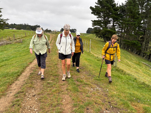 Blackburn Ridge-Waipawa必去景点