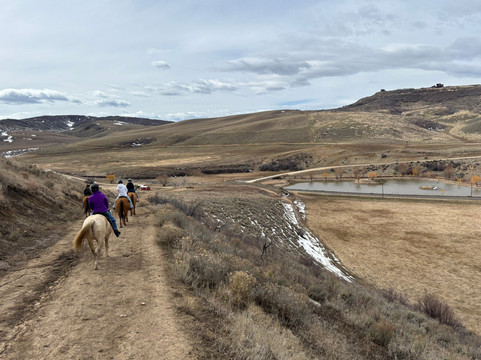 Saddleback Ranch-斯廷博特斯普林斯必去景点