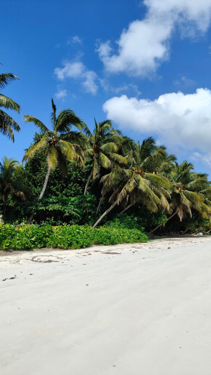 绿洲餐厅酒店和水疗中心-官方