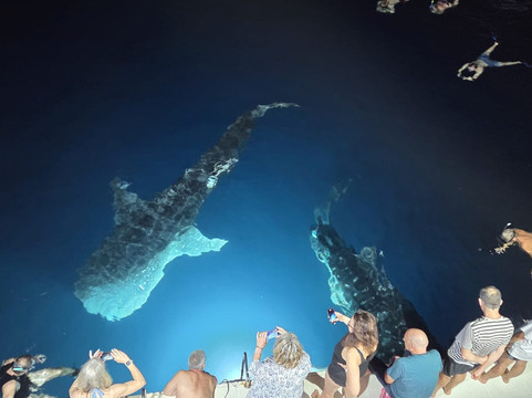 OK Maldives-马累必去景点