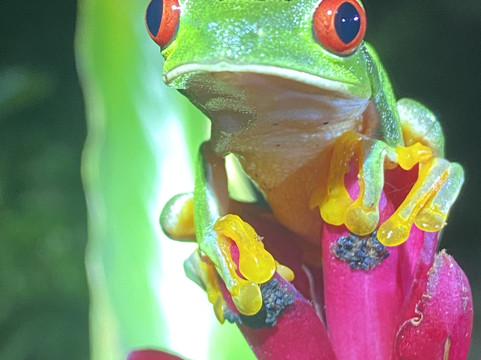 Santa Lucia Falls-乌维塔必去景点