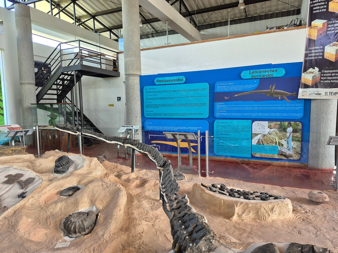 Centro de Investigaciones Paleontologicas - CIP-莱瓦镇必去景点