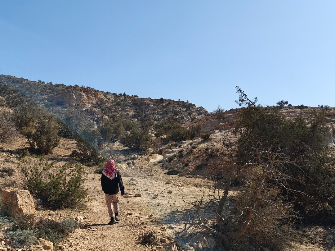 Jordan Trail Guide-佩特拉必去景点