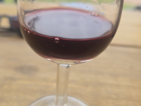 Bodega Terra Lombarda-圣拉斐尔必去景点