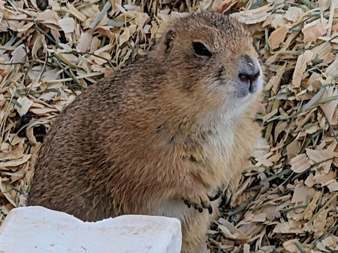 River Bend Nature Center-威奇托福尔斯必去景点