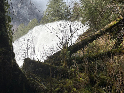 Sunshine Coast Tours-Egmont必去景点