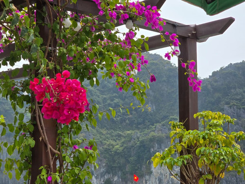 Cat Ba Kayak Adventures-下龙湾必去景点