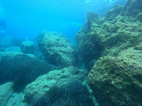 Coral Diving Crete-Anissaras必去景点