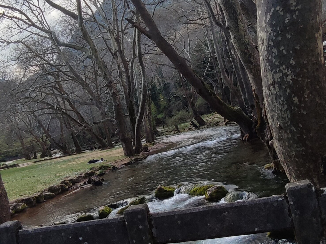 Nisi Margaritas Hotel主图