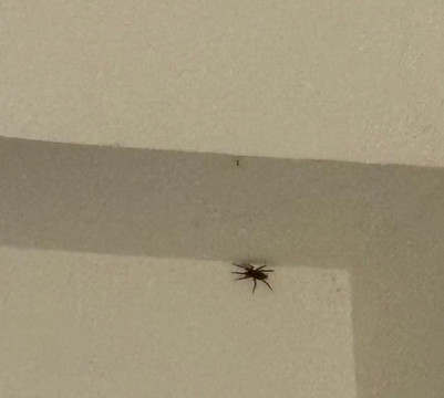 Calabernardo Resort主图