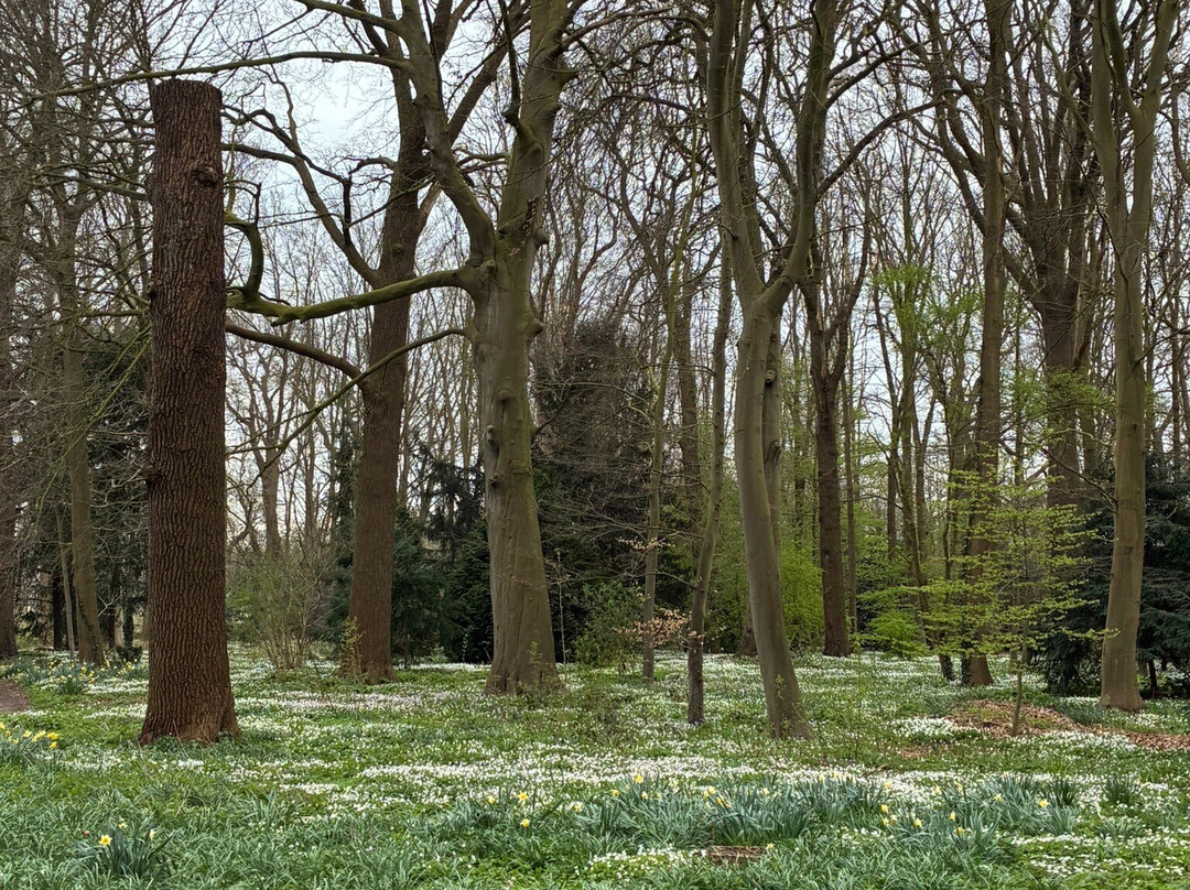 Leidse Hout Park-莱顿必去景点