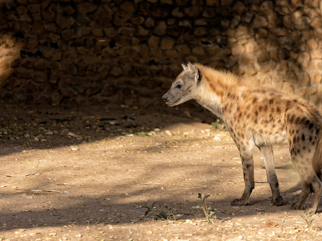 Reserve De Bandia-Saly必去景点