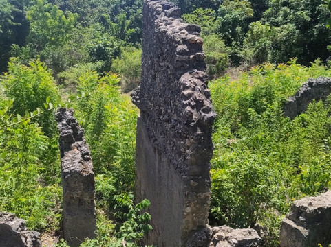 Safari Shwari Mafia Island-Utende必去景点