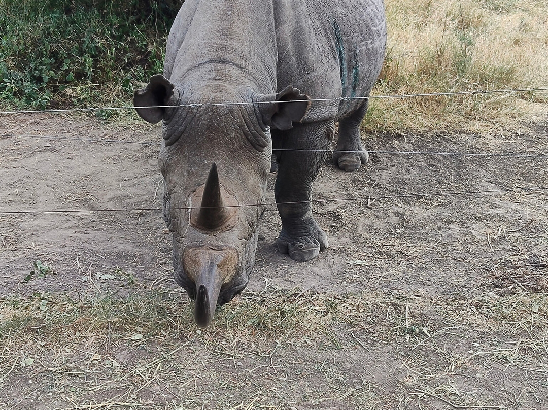 Ahambi Tours-南由基必去景点