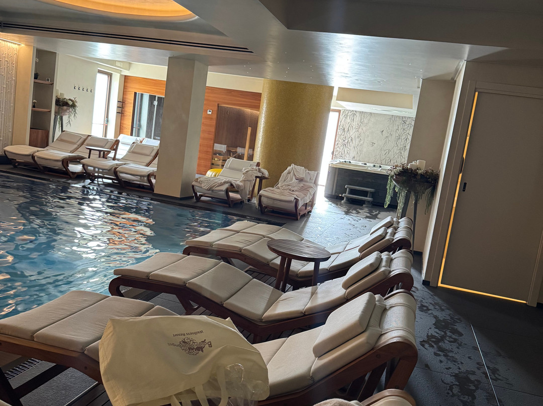 博尔戈德利安杰利健康度假村主图