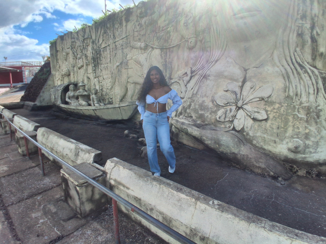 Monumento aos Pioneiros-Boa Vista必去景点