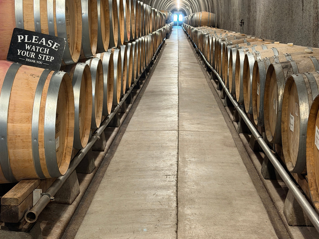 Gundlach Bundschu Winery-索诺玛必去景点