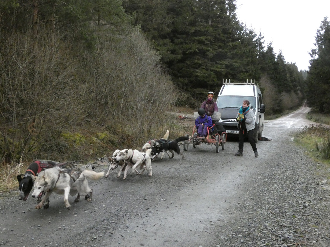 Mynydd Sleddog Adventures-Cerrigydrudion必去景点