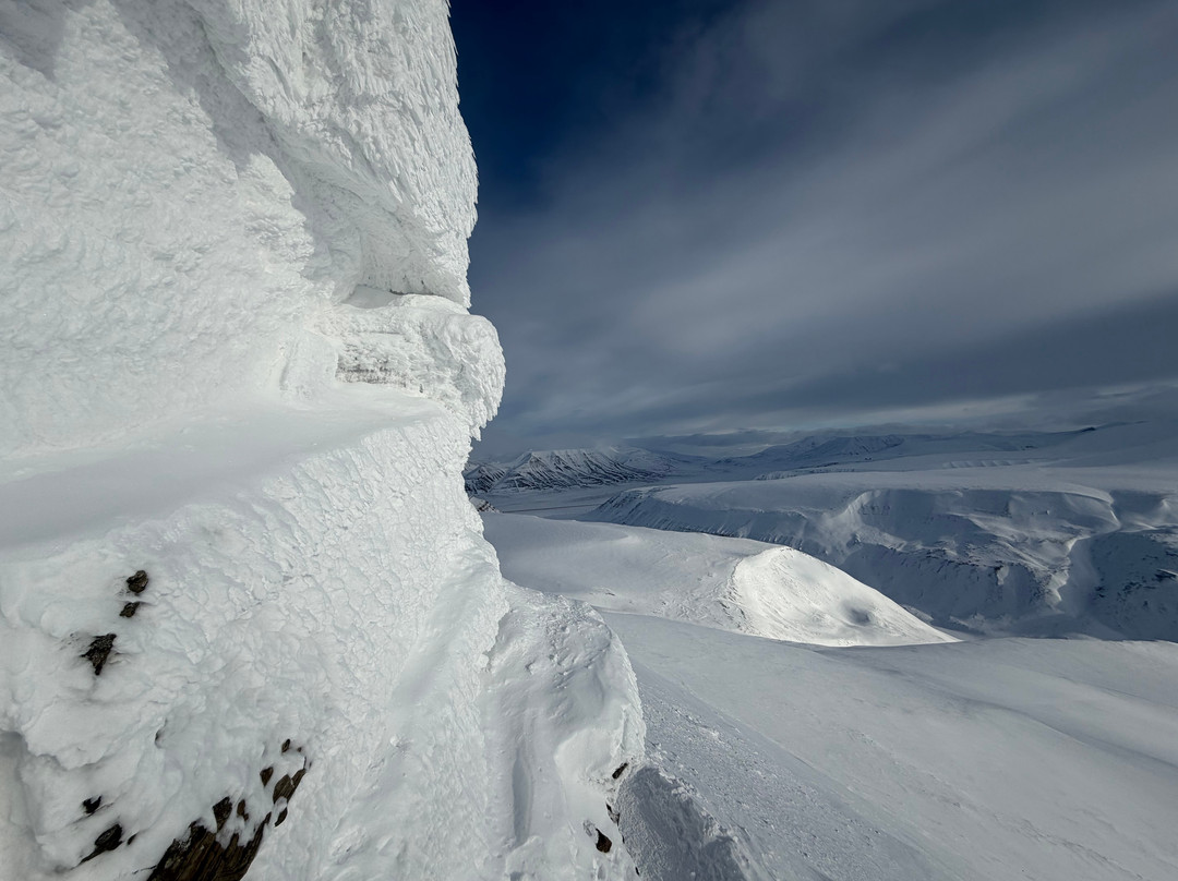 Svalbard Wildlife Expeditions-朗伊尔城必去景点