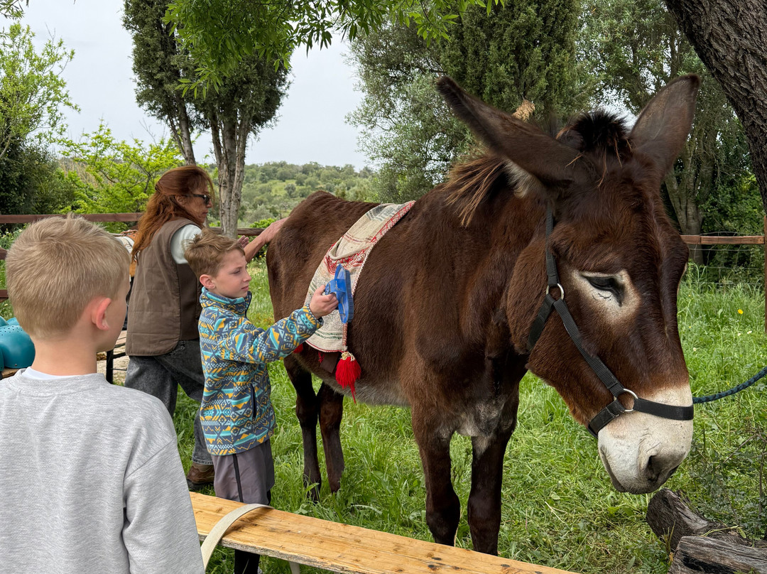 Happy-Donkeys Algarve-Monchique必去景点