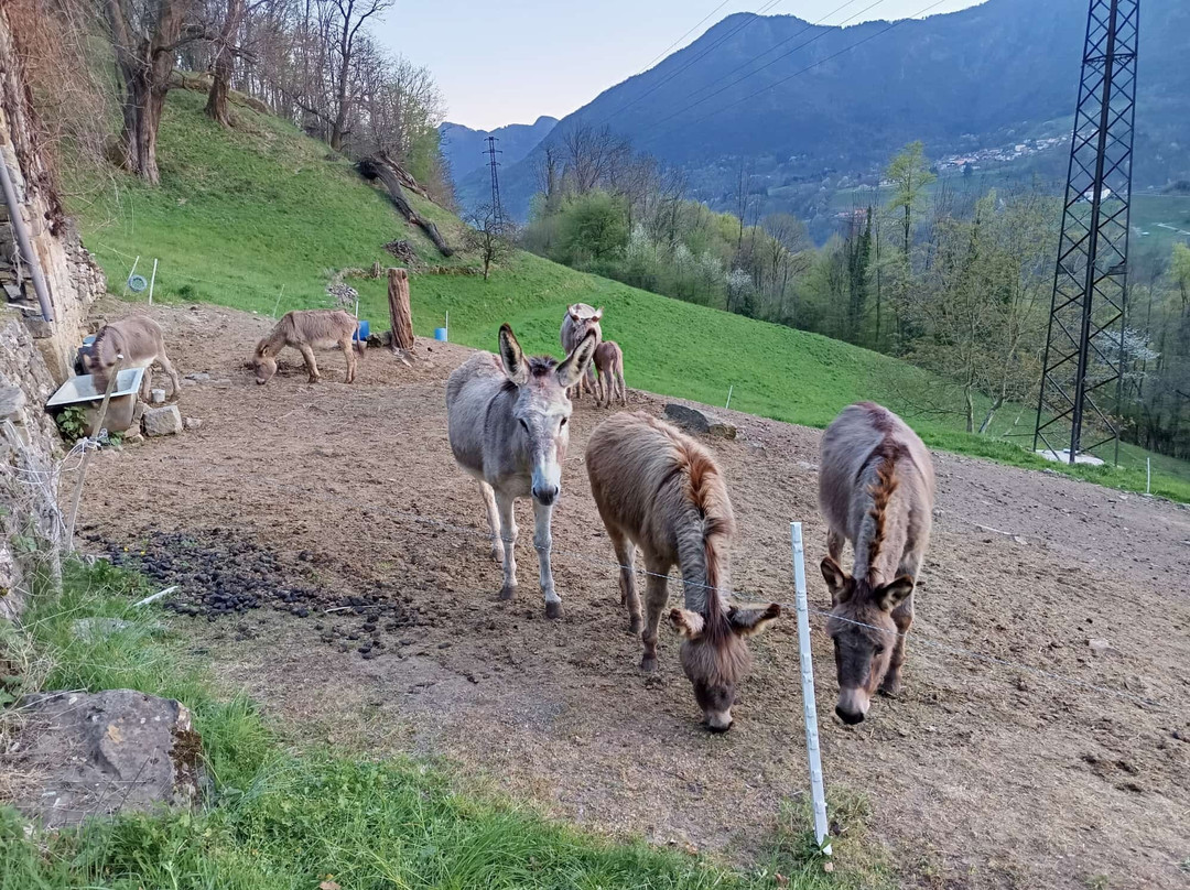 Agriturismo Grabbia