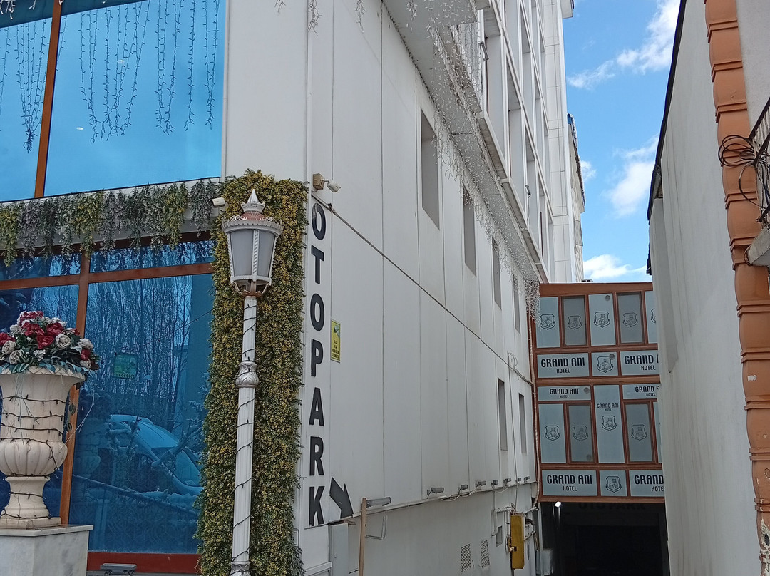 安妮大酒店主图