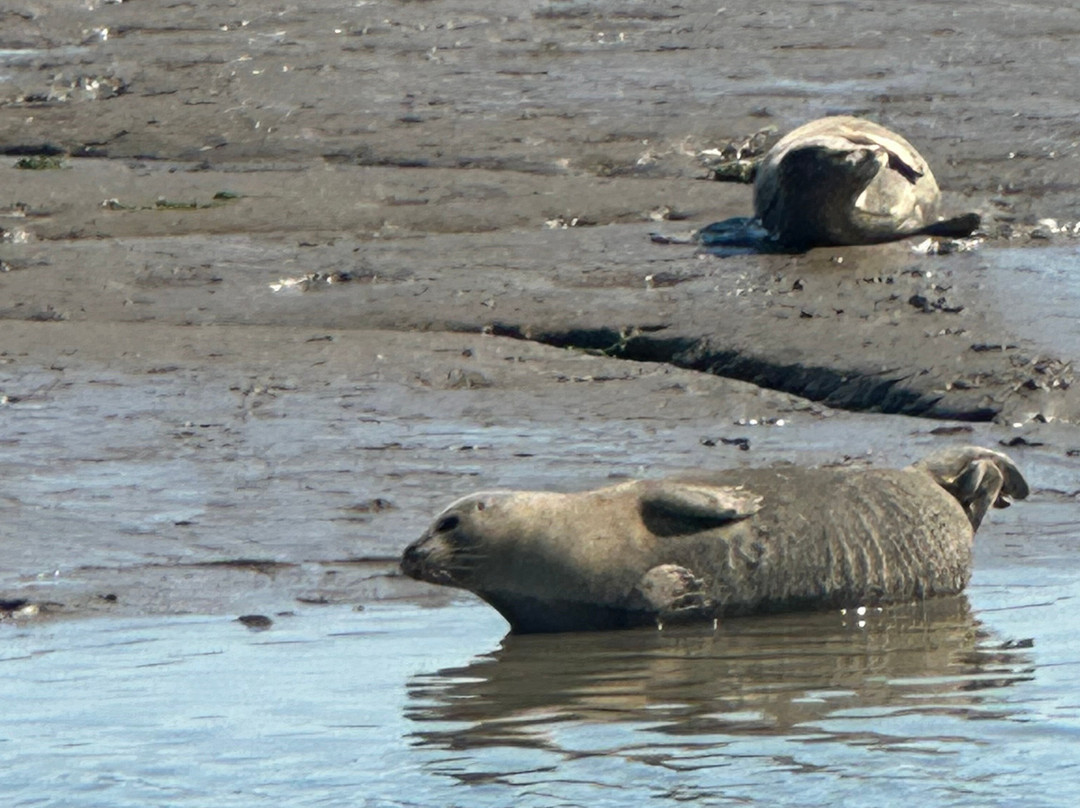 Chichester Harbour Water Tours-West Itchenor必去景点