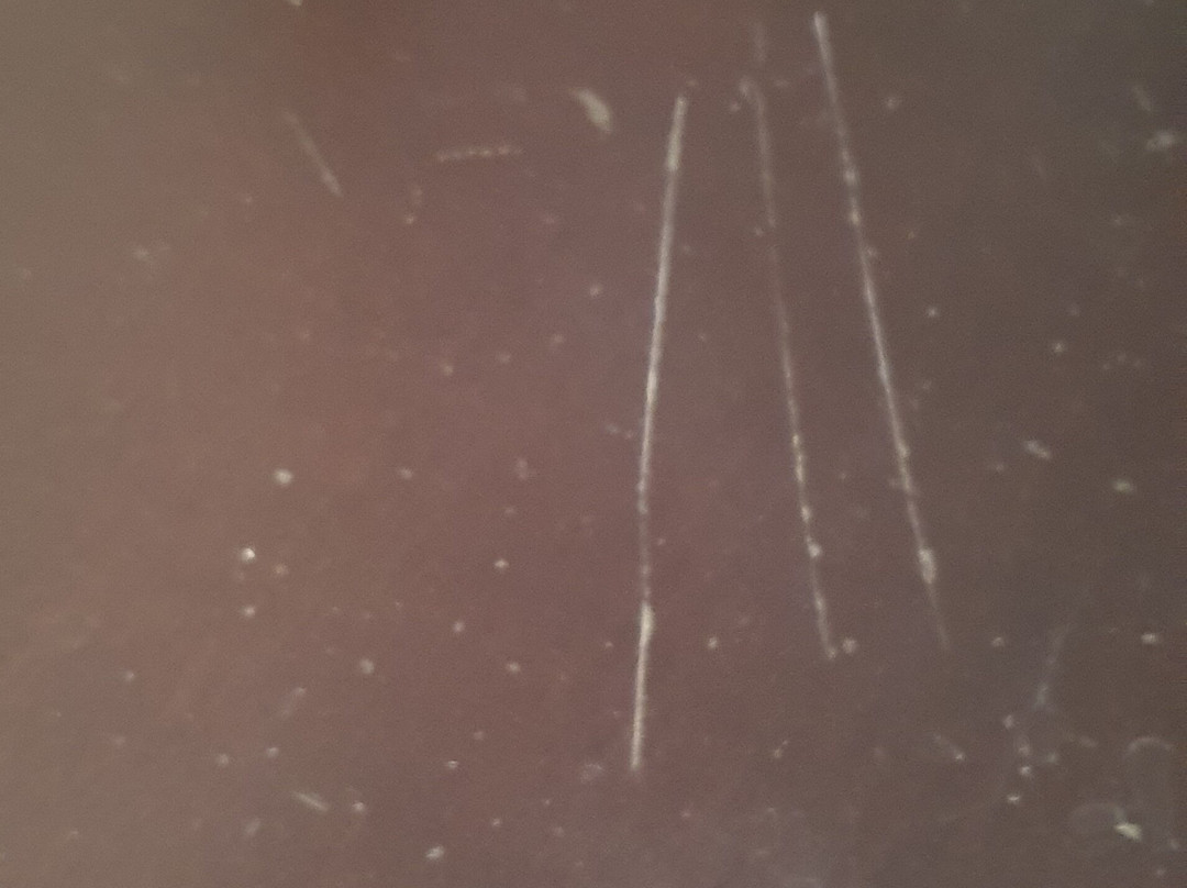 NH雷乌斯城市酒店主图