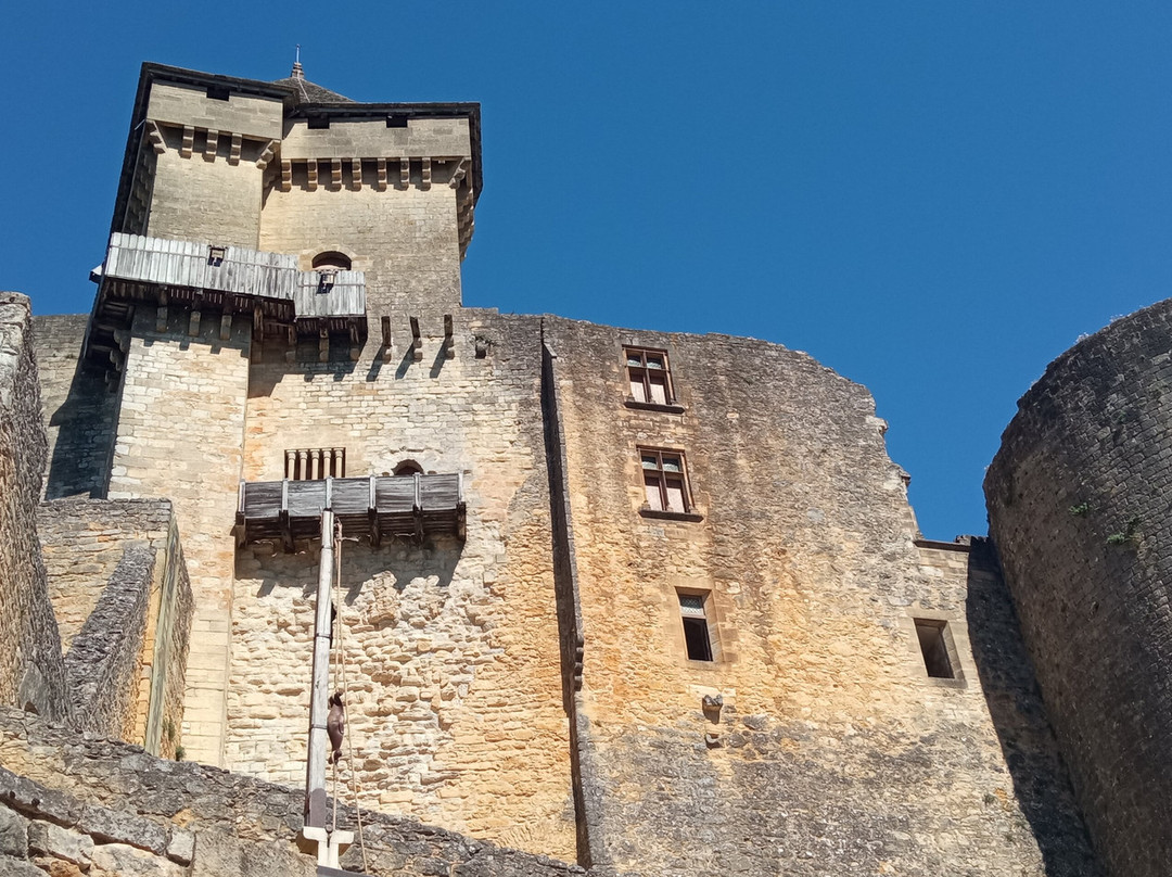 Château de Castelnaud-Castelnaud-la-Chapelle必去景点
