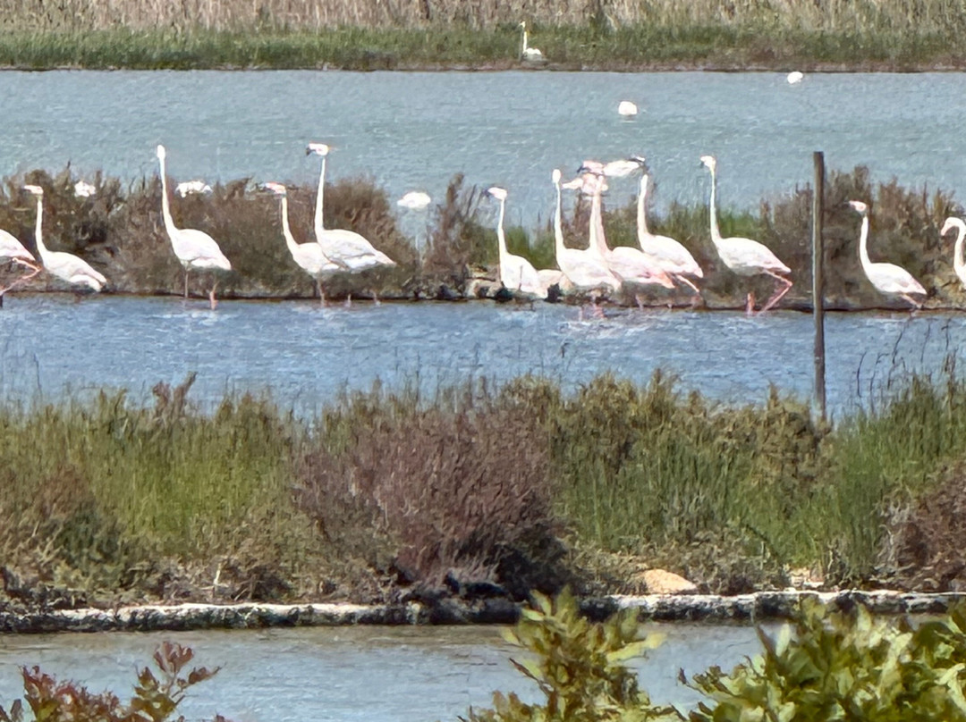 费利西亚别墅酒店主图