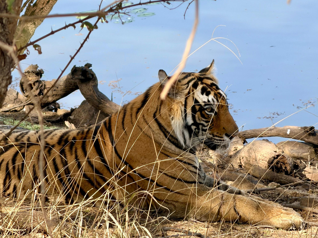 伯尔瓦拉堡六善酒店主图
