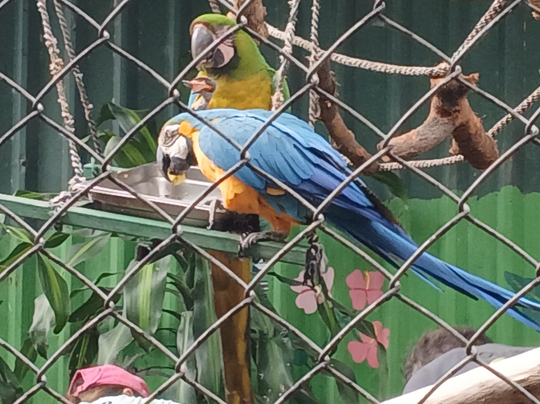 Refugio Animal De Costa Rica-圣安娜必去景点