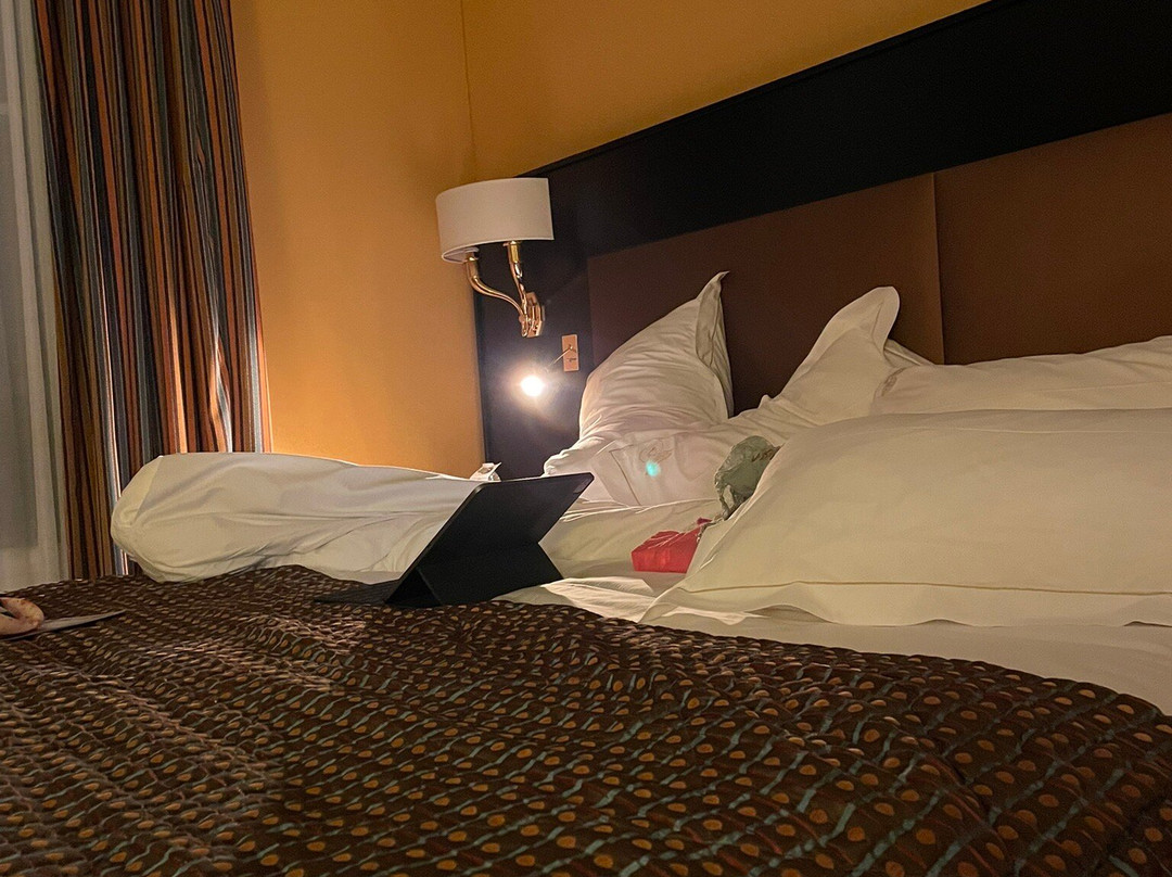 德拉马特洛特酒店主图