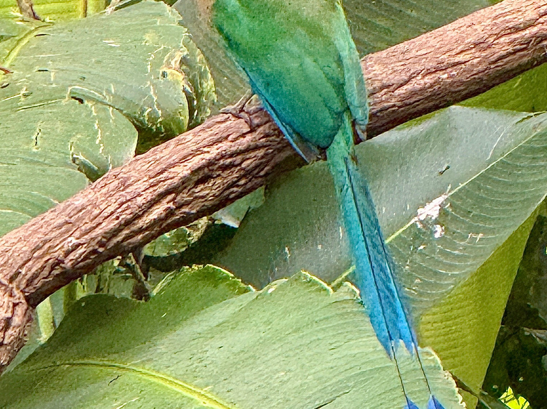 Costa Rica Focus-圣何塞必去景点
