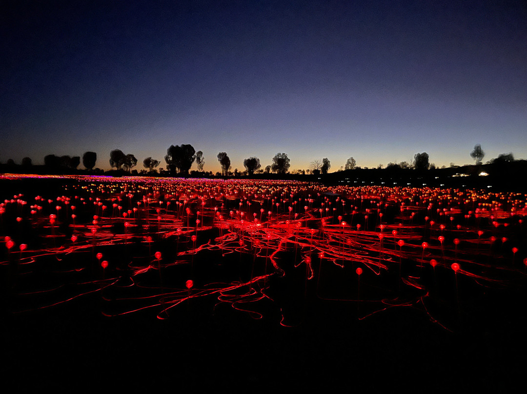 Field of Light-乌鲁鲁-卡塔丘塔国家公园必去景点