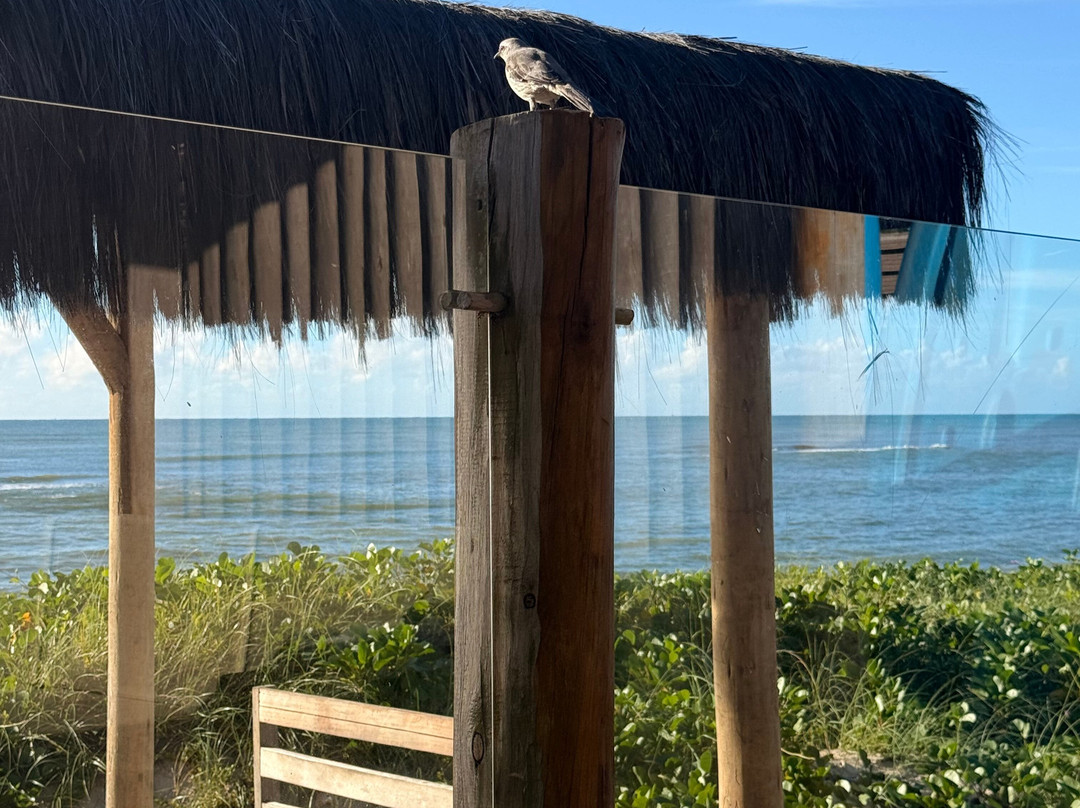 卡兰波拉酒店主图