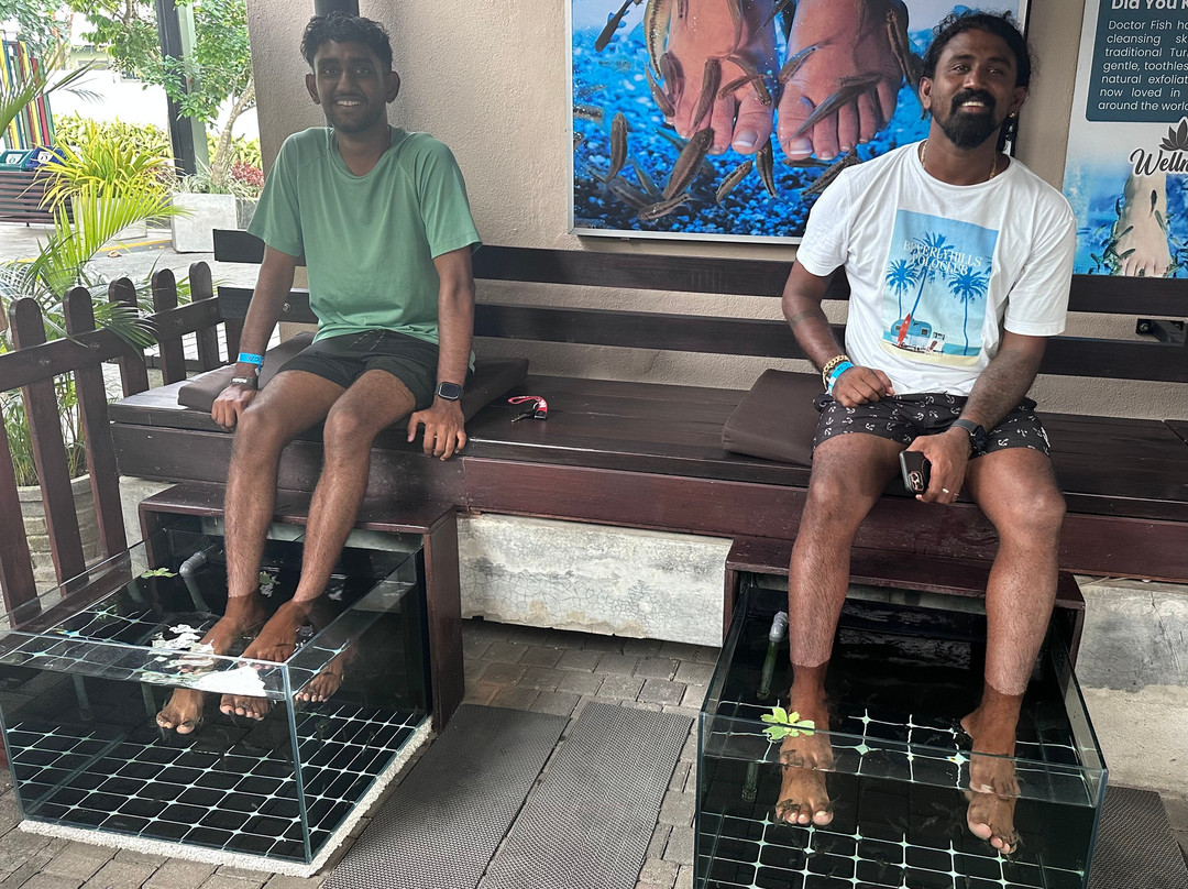 Riu Manga Tours-亚洪加拉必去景点