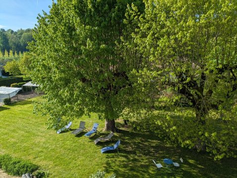 Les Tilleuls de Saint-Jean-旅行者