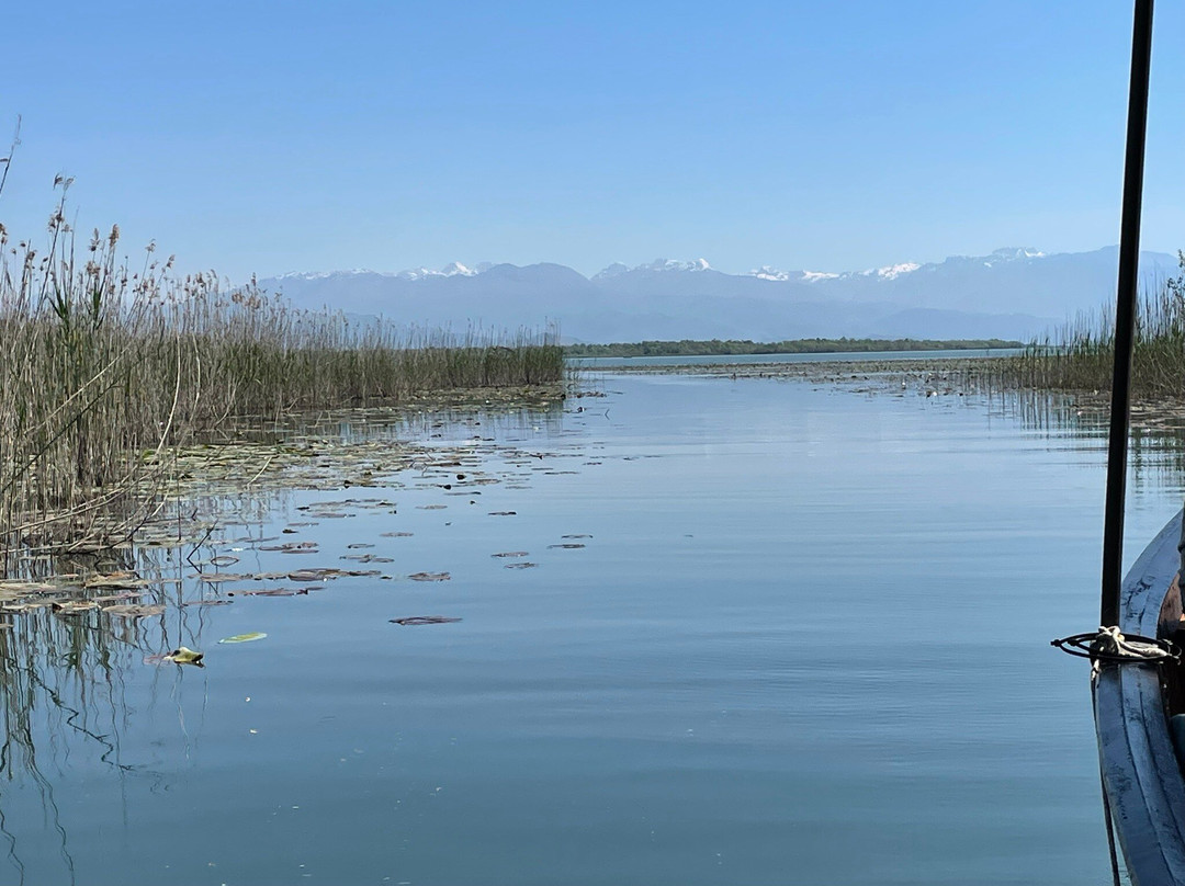 Lake Skadar-黑山共和国必去景点